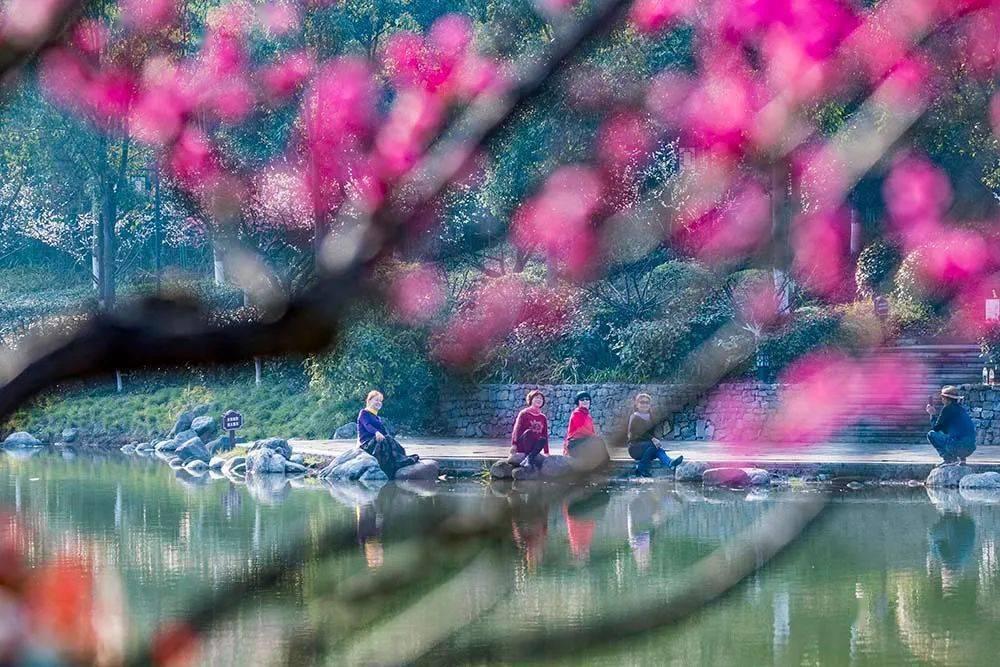 构建粮食安全保障体系，守好“舌尖上的安全”